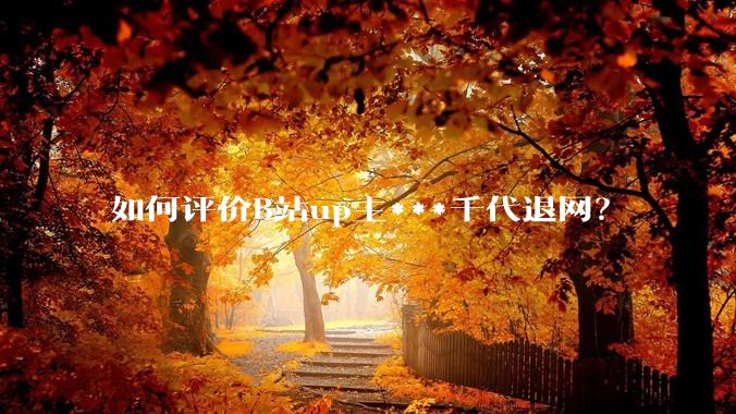 如何评价B站up主***千代退网？