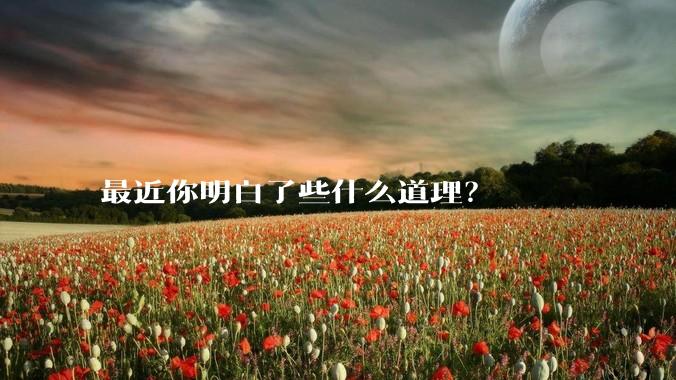 最近你明白了些什么道理？